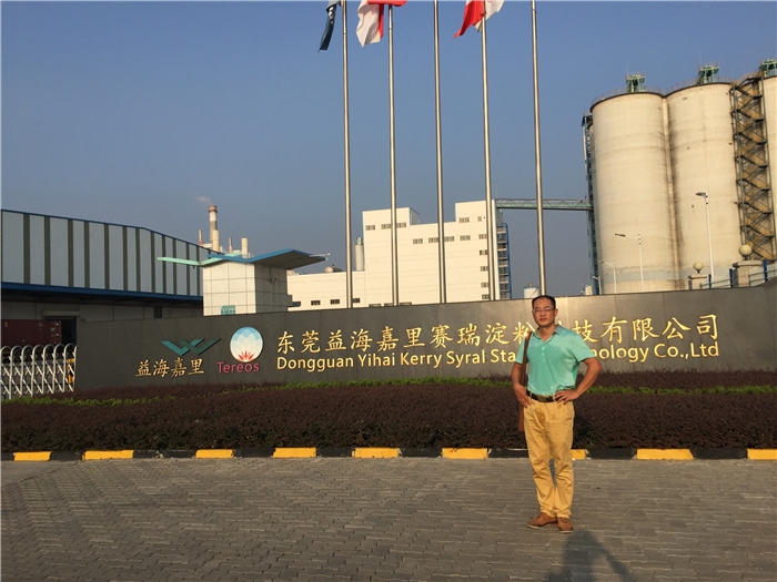 東莞益海嘉里100噸水煤槳爐脫硝